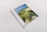 Oregon Dunes Grass by Alan Majchrowicz. shown as a rolled paper print. Available as archival giclee rolled canvas, fine art paper, or poster print. SKU 53745h.