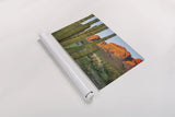 Organ Pipe Cactus National Monument Arizona by Alan Majchrowicz. shown as a rolled paper print. Available as archival giclee rolled canvas, fine art paper, or poster print. SKU 84036i.