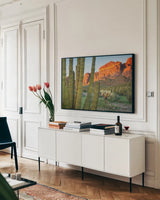 Organ Pipe Cactus National Monument Arizona by Alan Majchrowicz. shown as a framed stretched canvas in a living room above a console. Available as a archival giclee rolled canvas, fine art paper, or poster print. SKU 84036i.