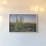 Organ Pipe Cactus at Dusk by Alan Majchrowicz. shown as a paper print in a white frame. Available as a archival giclee rolled canvas, fine art paper, or poster print. SKU 84035i.