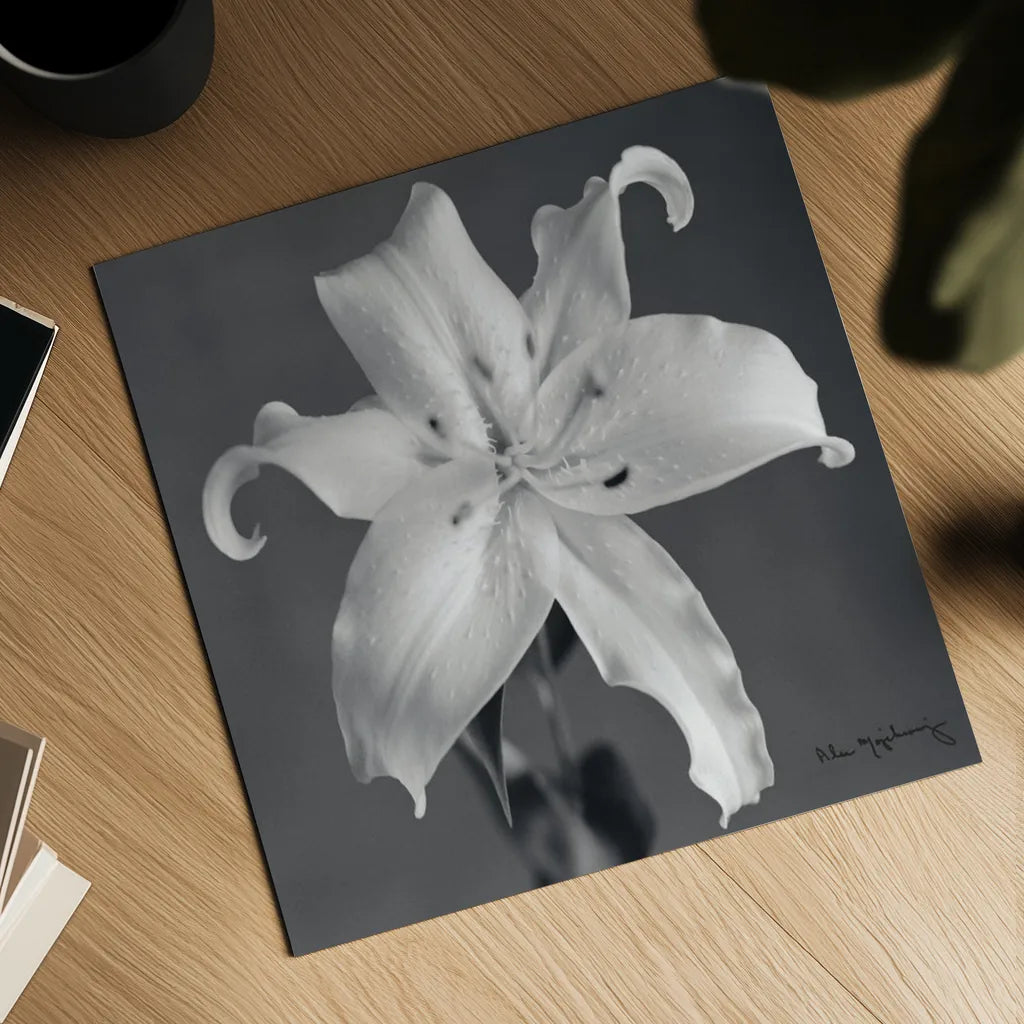 Orient Lily I  Crop by Alan Majchrowicz. Shown as a detailed flat fine art print, highlighting archival giclee quality. Available as an archival giclee rolled canvas, fine art paper, or poster print. SKU 44143a.