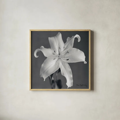 Orient Lily I  Crop by Alan Majchrowicz. Shown in a natural wood glass frame for a timeless modern aesthetic. Available as an archival giclee rolled canvas, fine art paper, or poster print. SKU 44143a.
