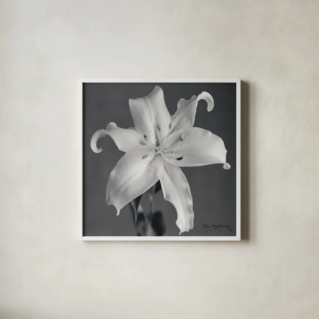 Orient Lily I  Crop by Alan Majchrowicz. Shown in a crisp white glass frame for a clean and minimalist style. Available as an archival giclee rolled canvas, fine art paper, or poster print. SKU 44143a.