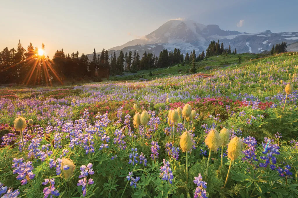 Paradise Wildflower Meadows I by Alan Majchrowicz. SKU 81530i. Archival Giclee Fine art print for wall decor.