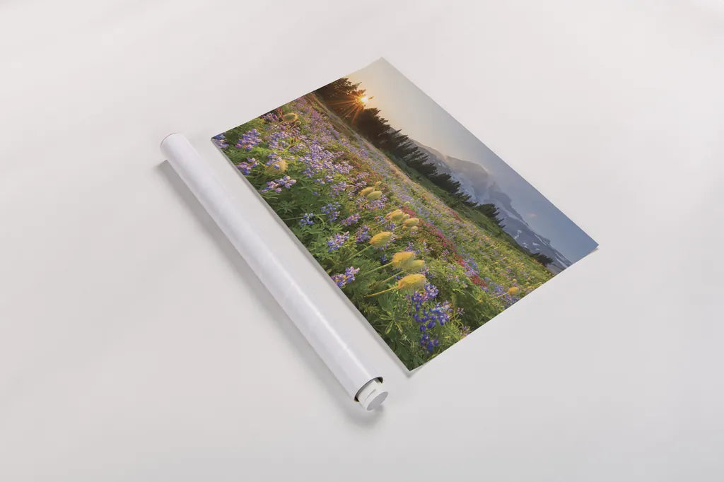 Paradise Wildflower Meadows I by Alan Majchrowicz. shown as a rolled paper print. Available as archival giclee rolled canvas, fine art paper, or poster print. SKU 81530i.