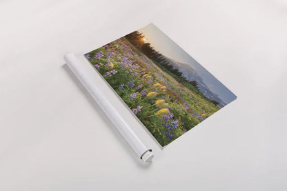 Paradise Wildflower Meadows I by Alan Majchrowicz. shown as a rolled paper print. Available as archival giclee rolled canvas, fine art paper, or poster print. SKU 81530i.