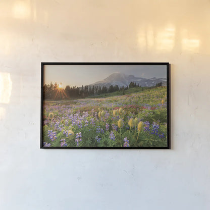 Paradise Wildflower Meadows I by Alan Majchrowicz. shown as a paper print in a black flame. Available as a archival giclee rolled canvas, fine art paper, or poster print. SKU 81530i.