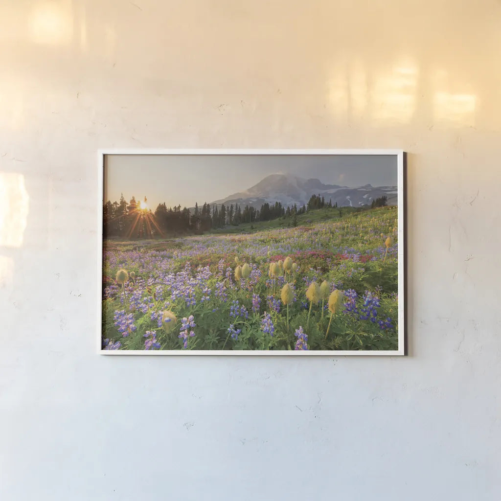 Paradise Wildflower Meadows I by Alan Majchrowicz. shown as a paper print in a white frame. Available as a archival giclee rolled canvas, fine art paper, or poster print. SKU 81530i.