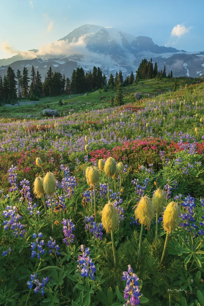 Paradise Wildflower Meadows II by Alan Majchrowicz. SKU 81531h. Archival Giclee Fine art print for wall decor.
