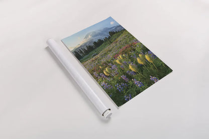 Paradise Wildflower Meadows II by Alan Majchrowicz. shown as a rolled paper print. Available as archival giclee rolled canvas, fine art paper, or poster print. SKU 81531h.