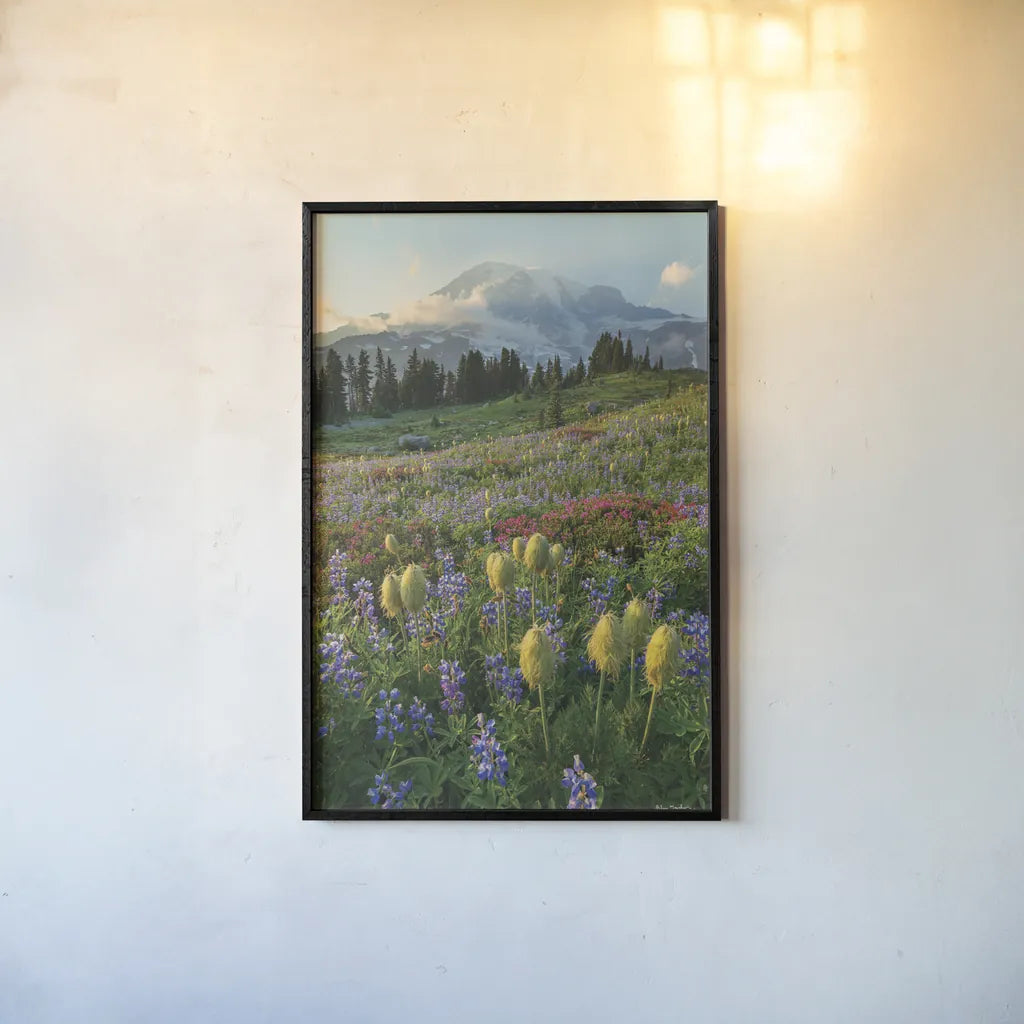 Paradise Wildflower Meadows II by Alan Majchrowicz. shown as a paper print in a black flame. Available as a archival giclee rolled canvas, fine art paper, or poster print. SKU 81531h.