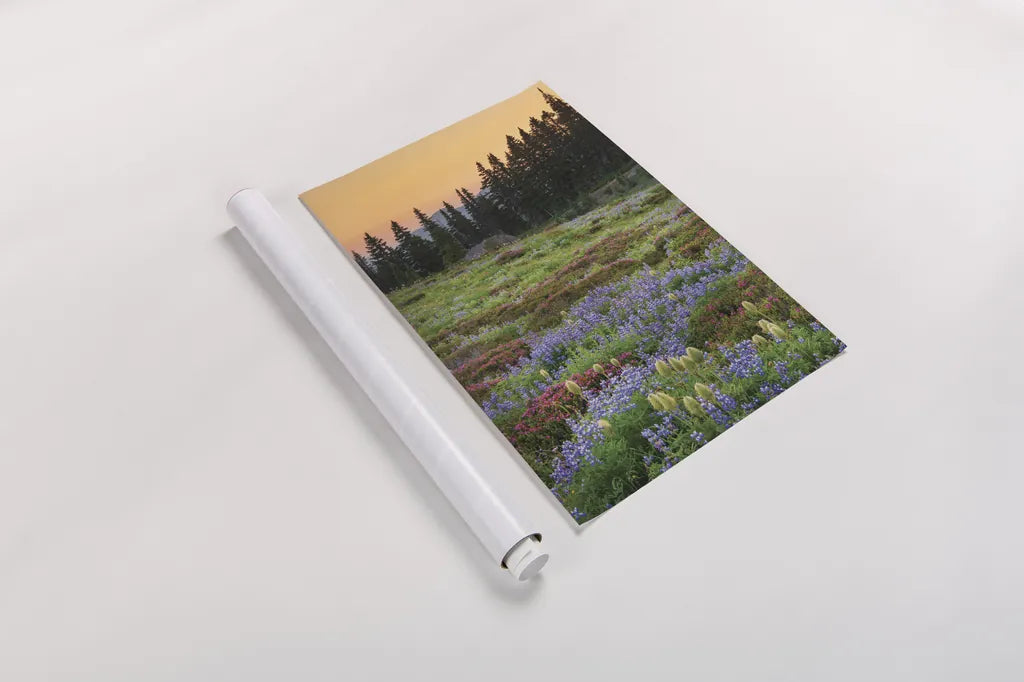 Paradise Wildflower Meadows III by Alan Majchrowicz. shown as a rolled paper print. Available as archival giclee rolled canvas, fine art paper, or poster print. SKU 81532h.