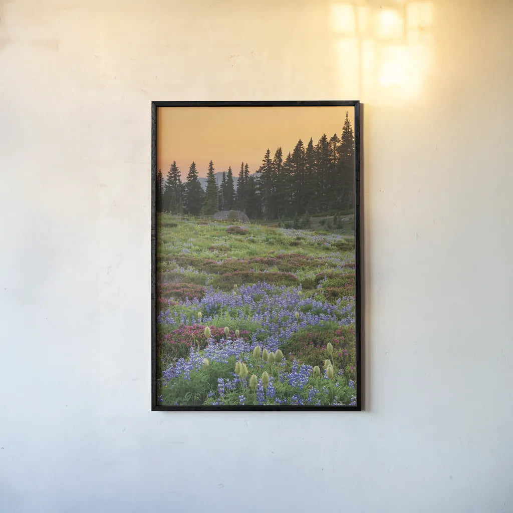 Paradise Wildflower Meadows III by Alan Majchrowicz. shown as a paper print in a black flame. Available as a archival giclee rolled canvas, fine art paper, or poster print. SKU 81532h.