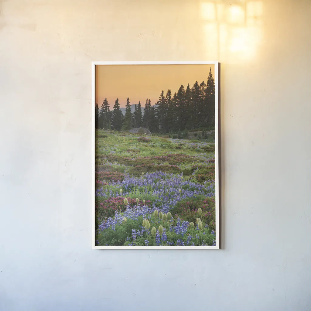 Paradise Wildflower Meadows III by Alan Majchrowicz. shown as a paper print in a white frame. Available as a archival giclee rolled canvas, fine art paper, or poster print. SKU 81532h.