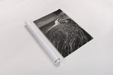 Pictured Rocks Michigan I BW by Alan Majchrowicz. shown as a rolled paper print. Available as archival giclee rolled canvas, fine art paper, or poster print. SKU 50393h.