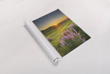 Prairie Sunrise by Alan Majchrowicz. shown as a rolled paper print. Available as archival giclee rolled canvas, fine art paper, or poster print. SKU 53743h.