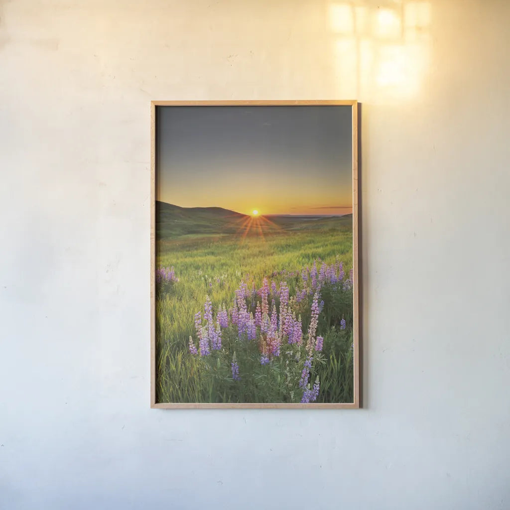 Prairie Sunrise by Alan Majchrowicz. shown as a paper print in a natural frame. Available as a archival giclee rolled canvas, fine art paper, or poster print. SKU 53743h.