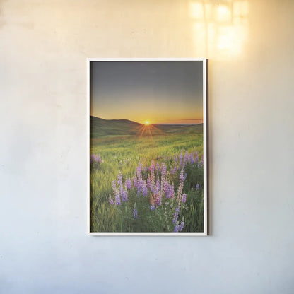 Prairie Sunrise by Alan Majchrowicz. shown as a paper print in a white frame. Available as a archival giclee rolled canvas, fine art paper, or poster print. SKU 53743h.