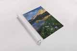 Pronghorn and Dragon Head Peaks by Alan Majchrowicz. shown as a rolled paper print. Available as archival giclee rolled canvas, fine art paper, or poster print. SKU 81533h.