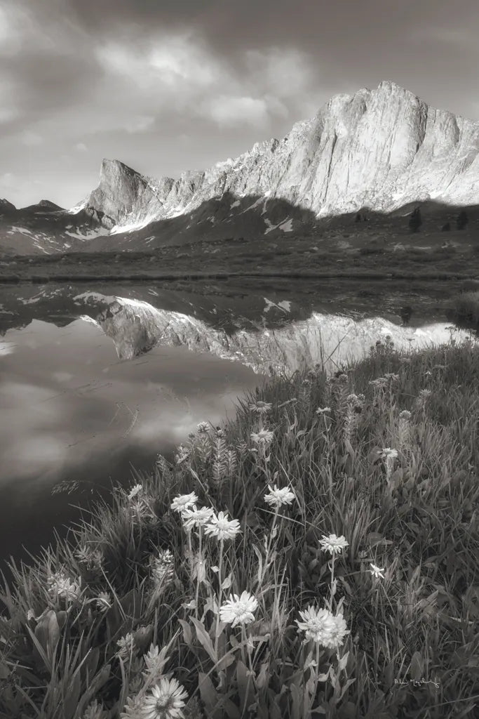 Pronghorn and Dragon Head Peaks BW by Alan Majchrowicz. SKU 81534h. Archival Giclee Fine art print for wall decor.