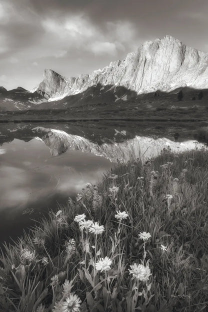 Pronghorn and Dragon Head Peaks BW by Alan Majchrowicz. SKU 81534h. Archival Giclee Fine art print for wall decor.