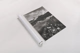 Pronghorn and Dragon Head Peaks BW by Alan Majchrowicz. shown as a rolled paper print. Available as archival giclee rolled canvas, fine art paper, or poster print. SKU 81534h.