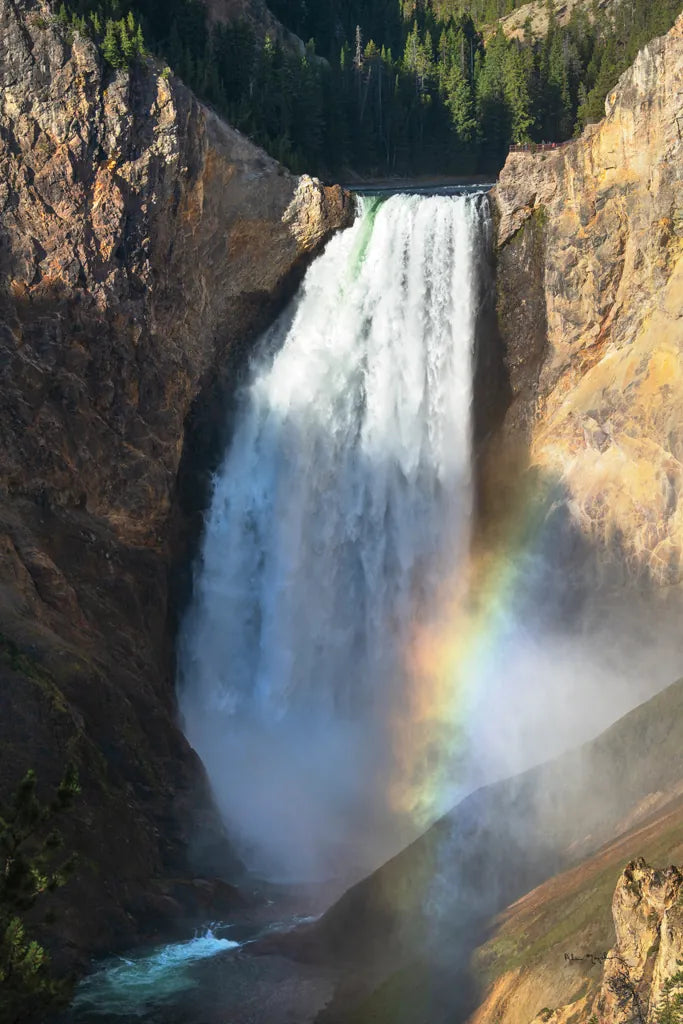 Rainbow Lower Falls by Alan Majchrowicz. SKU 80840h. Archival Giclee Fine art print for wall decor.