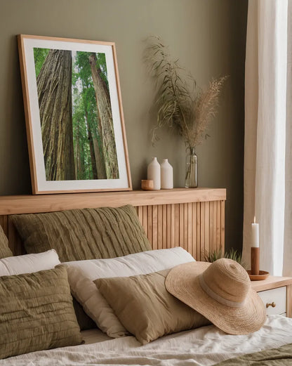 Redwoods Forest II by Alan Majchrowicz. shown as a paper print in a natural frame. Available as a archival giclee rolled canvas, fine art paper, or poster print. SKU 30206h.