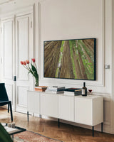 Redwoods Forest IV by Alan Majchrowicz. shown as a framed stretched canvas in a living room above a console. Available as a archival giclee rolled canvas, fine art paper, or poster print. SKU 30208i.