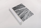 Redwoods Forest IV BW by Alan Majchrowicz. shown as a rolled paper print. Available as archival giclee rolled canvas, fine art paper, or poster print. SKU 30786i.