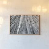 Redwoods Forest IV BW by Alan Majchrowicz. shown as a paper print in a natural frame. Available as a archival giclee rolled canvas, fine art paper, or poster print. SKU 30786i.