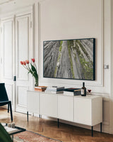 Redwoods Forest IV BW with Color by Alan Majchrowicz. shown as a framed stretched canvas in a living room above a console. Available as a archival giclee rolled canvas, fine art paper, or poster print. SKU 30787i.
