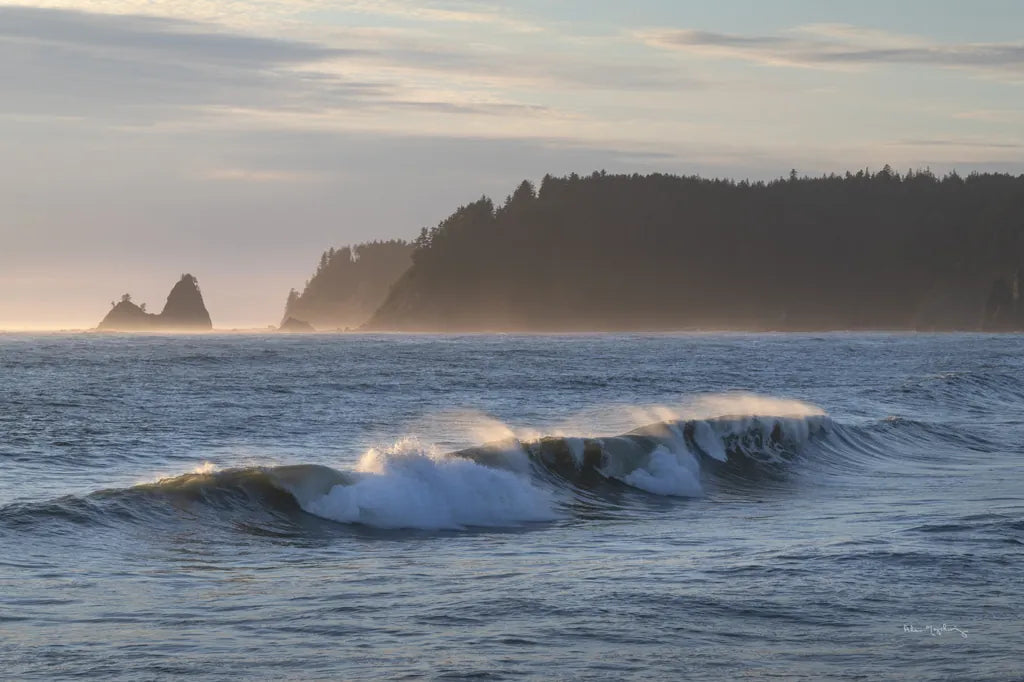 Rialto Beach Waves by Alan Majchrowicz. SKU 86303i. Archival Giclee Fine art print for wall decor.