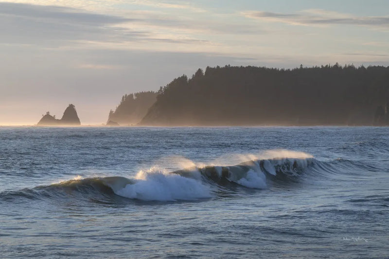 Rialto Beach Waves by Alan Majchrowicz. SKU 86303i. Archival Giclee Fine art print for wall decor.