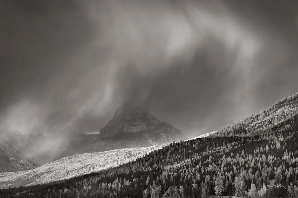 Rising Mist by Alan Majchrowicz. SKU 27786i. Archival Giclee Fine art print for wall decor.