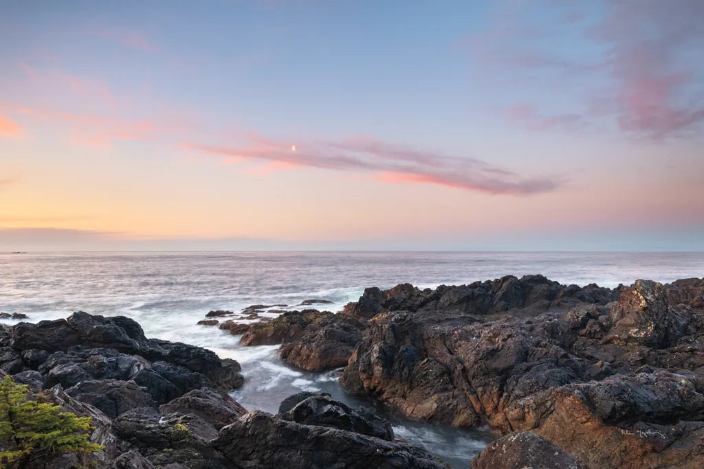 Rugged Coast Along Wild Pacific Trail by Alan Majchrowicz. SKU 86352i. Archival Giclee Fine art print for wall decor.