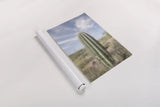 Saguaro by Alan Majchrowicz. shown as a rolled paper print. Available as archival giclee rolled canvas, fine art paper, or poster print. SKU 61459h.