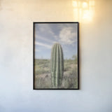 Saguaro by Alan Majchrowicz. shown as a paper print in a black flame. Available as a archival giclee rolled canvas, fine art paper, or poster print. SKU 61459h.