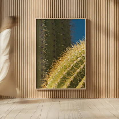 Saguaro Detail by Alan Majchrowicz. shown as over sized large wall art. Available as an archival giclee rolled canvas, fine art paper, or poster print. SKU 86030h.