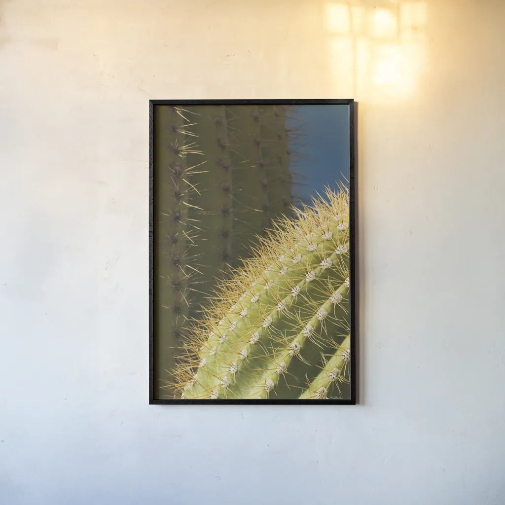 Saguaro Detail by Alan Majchrowicz. shown as a paper print in a black flame. Available as a archival giclee rolled canvas, fine art paper, or poster print. SKU 86030h.