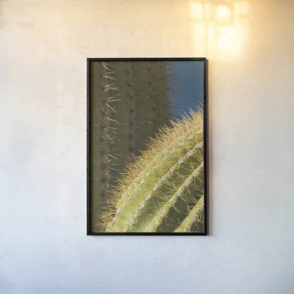 Saguaro Detail by Alan Majchrowicz. shown as a paper print in a black flame. Available as a archival giclee rolled canvas, fine art paper, or poster print. SKU 86030h.