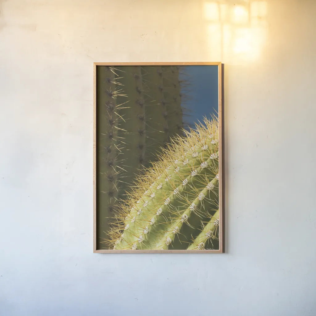 Saguaro Detail by Alan Majchrowicz. shown as a paper print in a natural frame. Available as a archival giclee rolled canvas, fine art paper, or poster print. SKU 86030h.