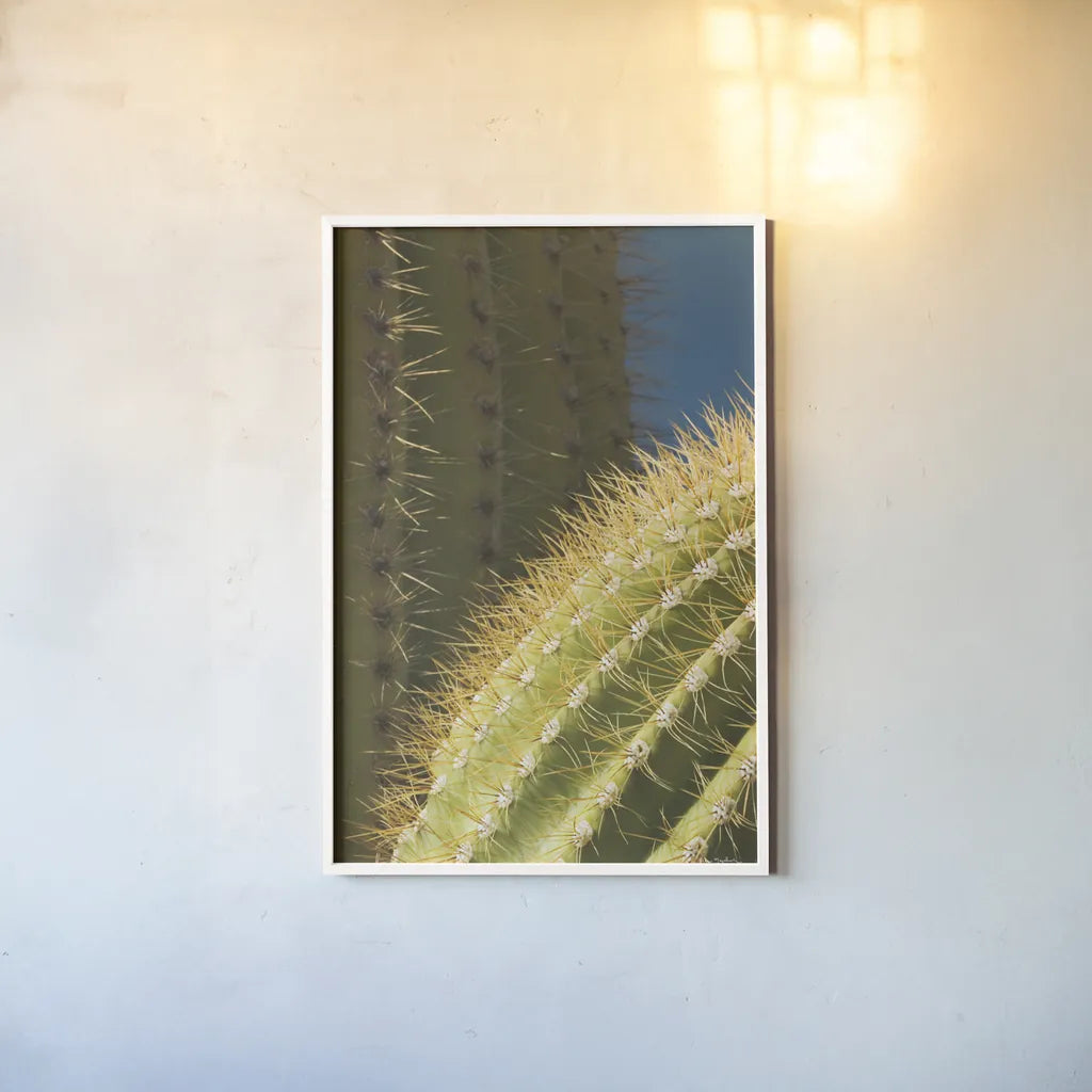 Saguaro Detail by Alan Majchrowicz. shown as a paper print in a white frame. Available as a archival giclee rolled canvas, fine art paper, or poster print. SKU 86030h.