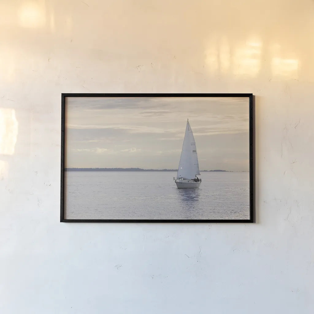 Sailboat in Semiahmoo Bay by Alan Majchrowicz. shown as a paper print in a black flame. Available as a archival giclee rolled canvas, fine art paper, or poster print. SKU 46112i.