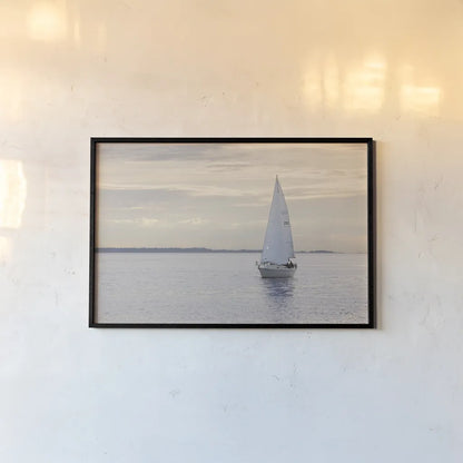 Sailboat in Semiahmoo Bay by Alan Majchrowicz. shown as a paper print in a black flame. Available as a archival giclee rolled canvas, fine art paper, or poster print. SKU 46112i.