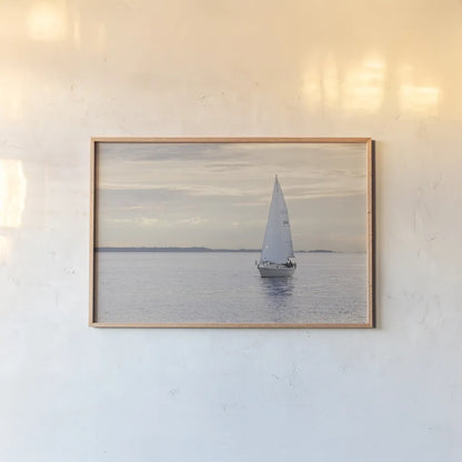 Sailboat in Semiahmoo Bay by Alan Majchrowicz. shown as a paper print in a natural frame. Available as a archival giclee rolled canvas, fine art paper, or poster print. SKU 46112i.
