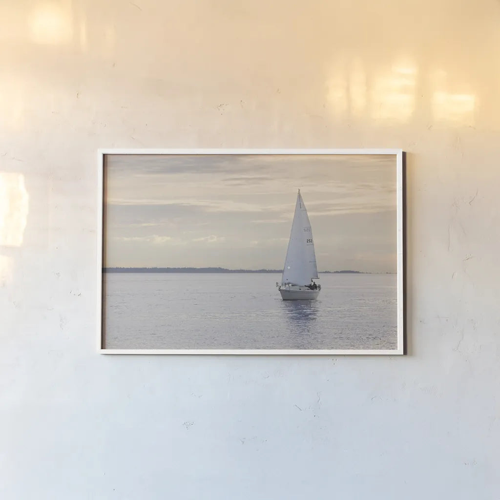 Sailboat in Semiahmoo Bay by Alan Majchrowicz. shown as a paper print in a white frame. Available as a archival giclee rolled canvas, fine art paper, or poster print. SKU 46112i.