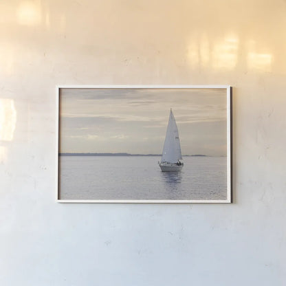 Sailboat in Semiahmoo Bay by Alan Majchrowicz. shown as a paper print in a white frame. Available as a archival giclee rolled canvas, fine art paper, or poster print. SKU 46112i.