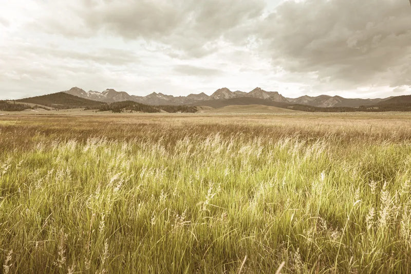 Sawtooth Mountains Idaho II by Alan Majchrowicz. SKU 71599i. Archival Giclee Fine art print for wall decor.