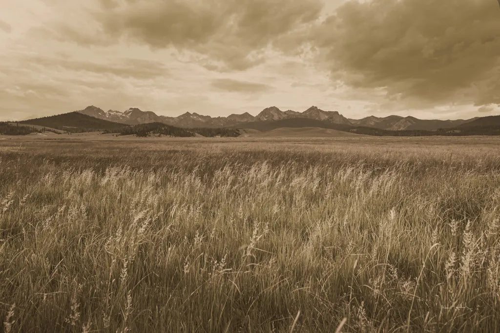 Sawtooth Mountains Idaho II Dark by Alan Majchrowicz. SKU 78317i. Archival Giclee Fine art print for wall decor.